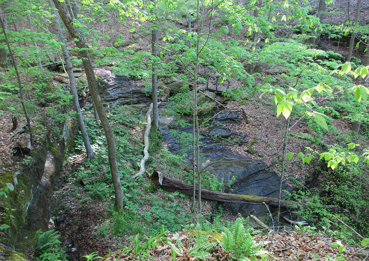 Carter Caves Creek